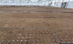 铜仁：科技赋能春耕 农业跑出“加快度”